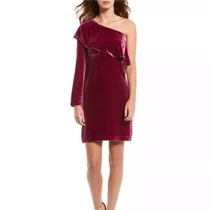 Nicole Miller 1-Shoulder Velvet Dress Sz 2 NWT